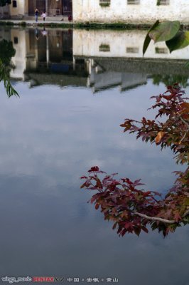 g5/15/619915/3/118854489.lBPKHoGi.jpg