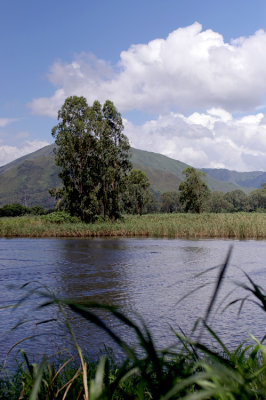 IMGP0471.jpg