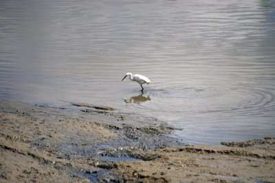 IMGP0506.jpg