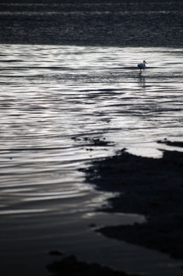 IMGP0544.jpg