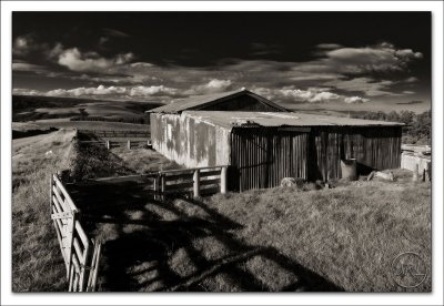Catlins Woolshed