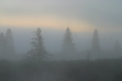 055  FOGGY MORNING