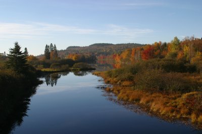 019  AUTUMN COLOURS