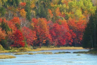 022  AUTUMN COLOURS