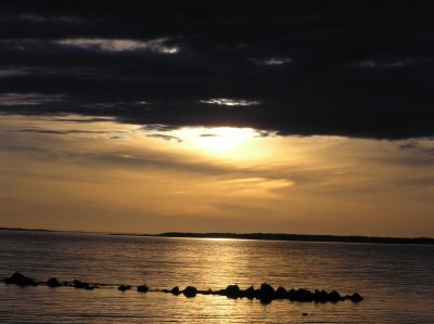 P1010006.JPG