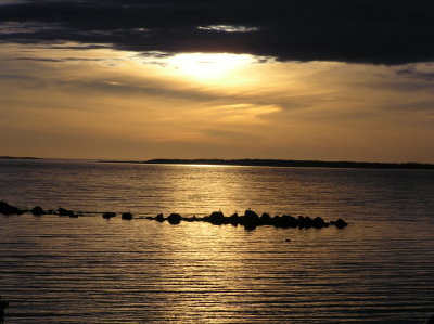 P1010005.JPG