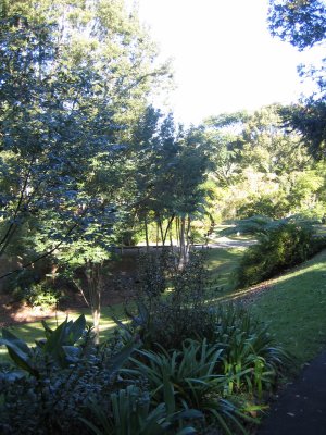 View from the Veranda