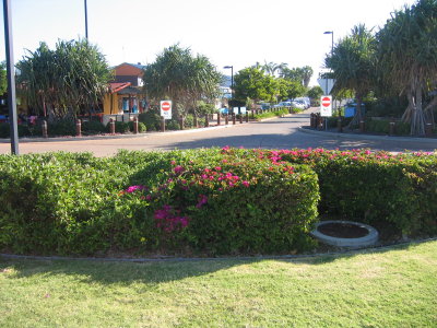 IMG_1949.jpg