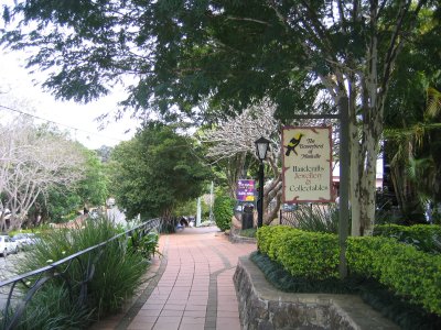 IMG_1919.jpg