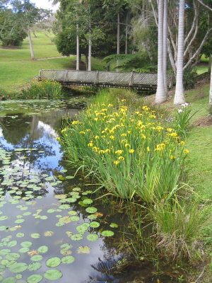 Bridge to Tennis Court