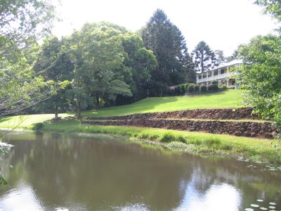 From Stone Bridge Neighbor's House