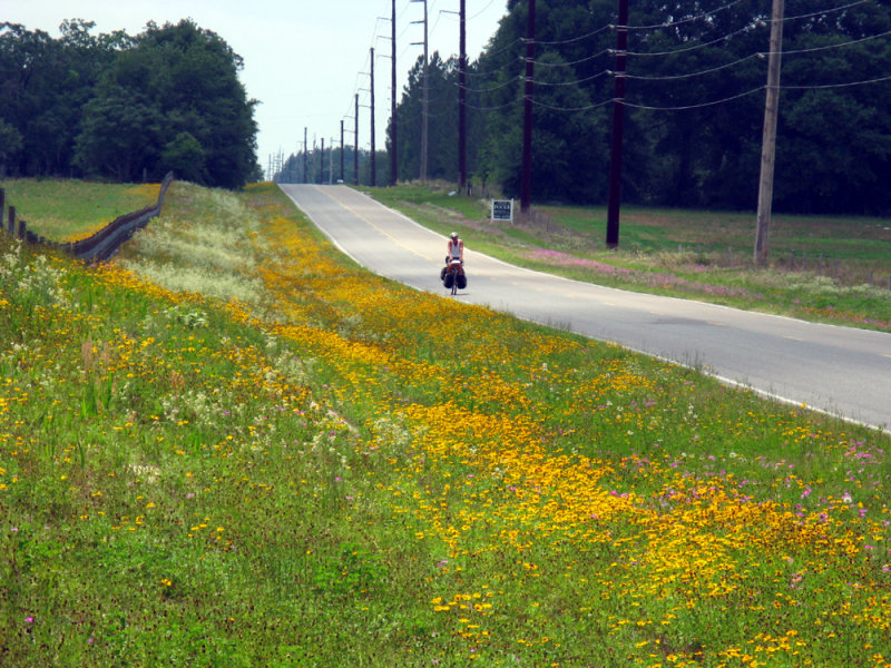 <a href=http://hlee-roadletters.blogspot.com/target=_blank>Southern Tier Tour</a>