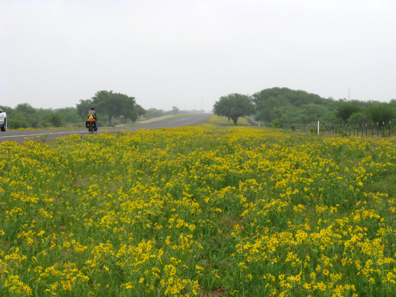 <a href=http://hlee-roadletters.blogspot.com/target=_blank>Southern Tier Tour</a>