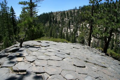 IMG_3881.JPG