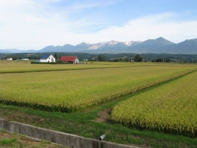 Approaching the Asahidake mountains