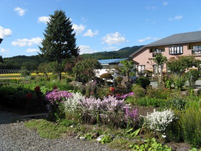 Vegetable & flower beside a house.