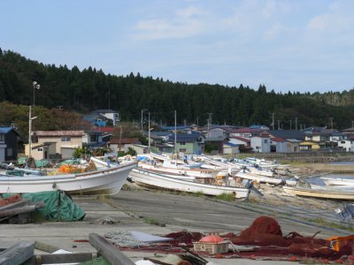 Sea of fishing boats.