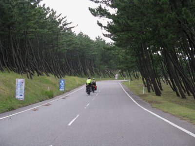 Heavy traffic today. Road to the campground. It must be windy here.