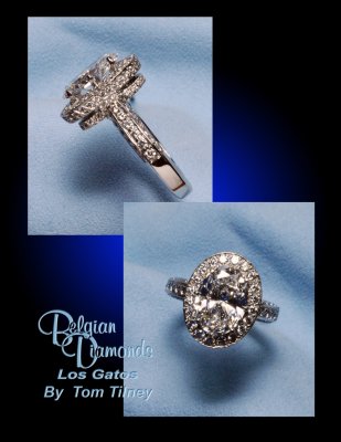 Cecilia's Platinum Diamond Ring Oval Diamond.jpg