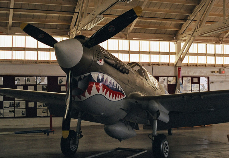 00410023.P-40.JPG