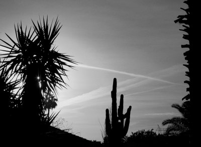 IMG_5420 contrail sunrise xx copy.jpg