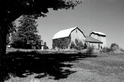 Barns - Black & White