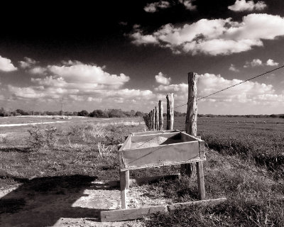 Feed Trough