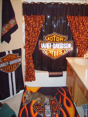 A Shower curtain and rug