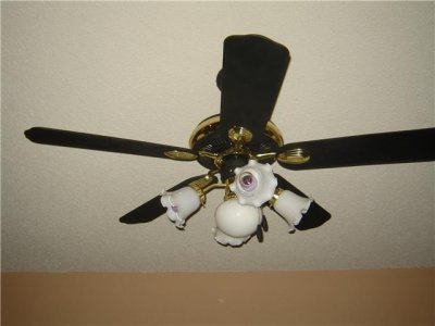 A Dinning Room Fan