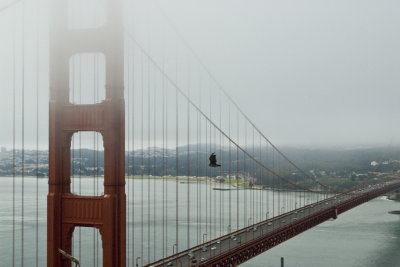 Golden Gate Bridge from Marin Headlands 2