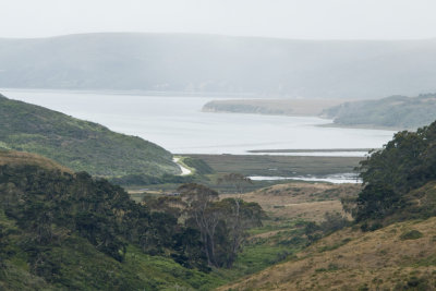Coastline