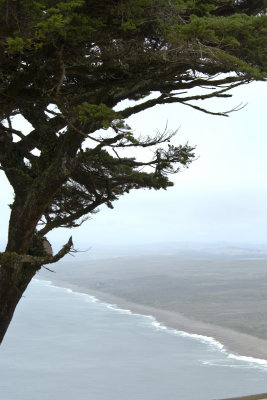 View from Lighthouse 1