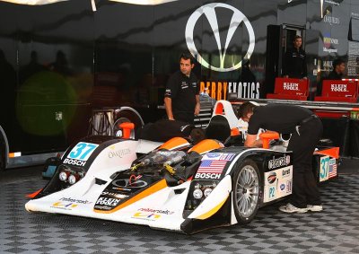 Paddock_08_Pbase.jpg