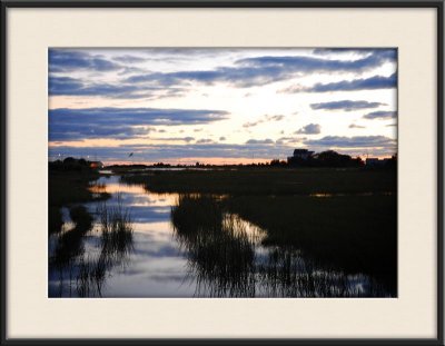 Marsh_1830.jpg