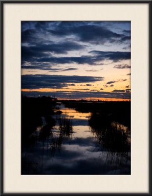 Marsh_1834.jpg