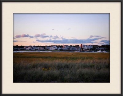 Wetland_1747.jpg