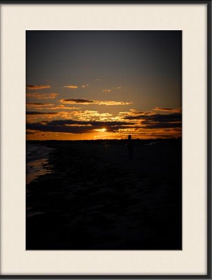 dogwalker_1671.jpg