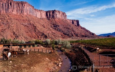 Muddy Creek Colorado River Valley