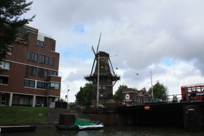 IMG_0348.jpg
