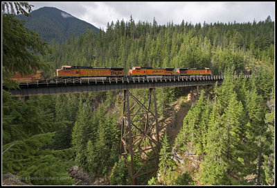 Q-Train Gaynor Trestle