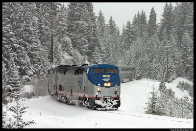 Amtrak @ Fields