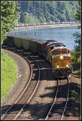 Loaded Coal Train