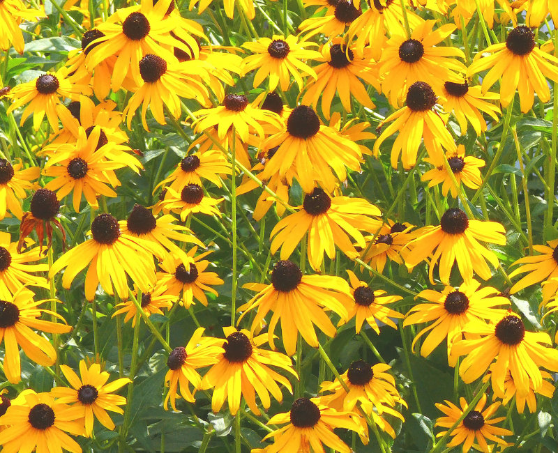 yellow explosion
