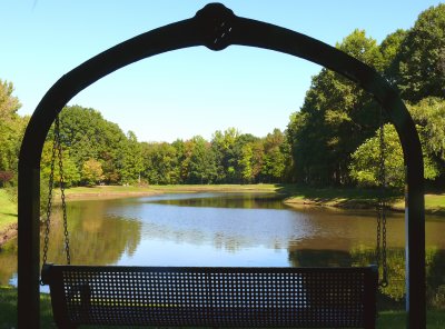 local pond framed