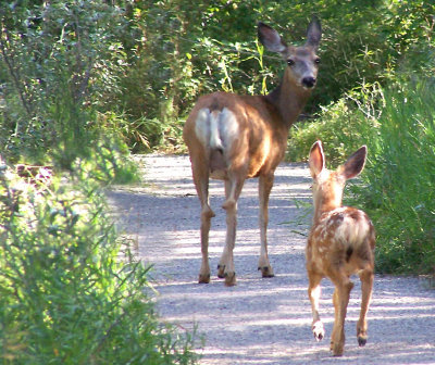 mom and baby