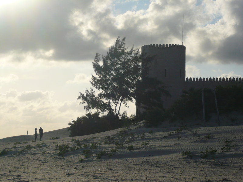 P1020783.JPG