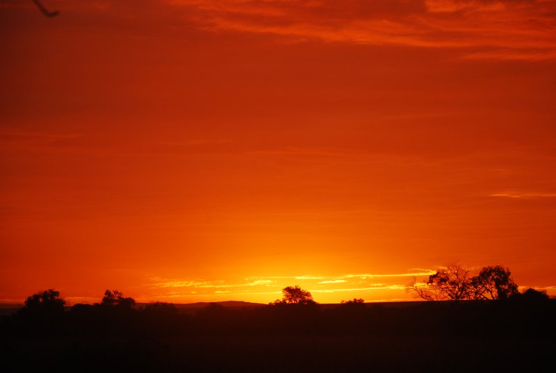 DSC_2863.JPG