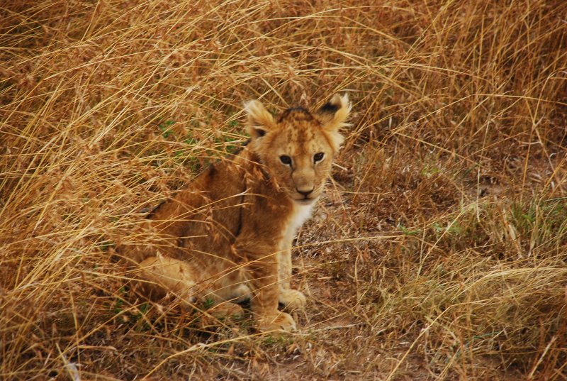 DSC_3014.JPG