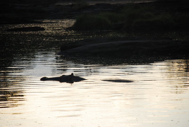 DSC_3076.JPG