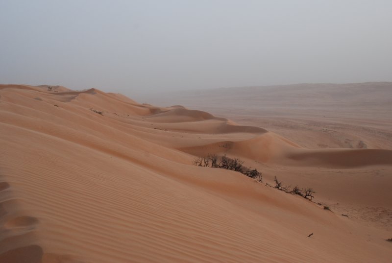DSC_2576.JPG